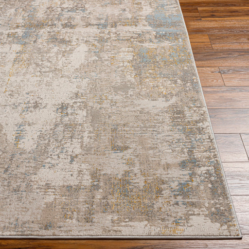 Surya Roswell RSW-2302 Gray Modern  Rug