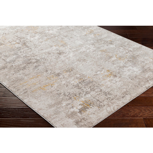 Surya Roswell RSW-2303 Gray Modern  Rug