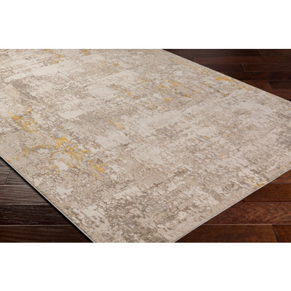 Surya Roswell RSW-2304 Gray Modern  Rug