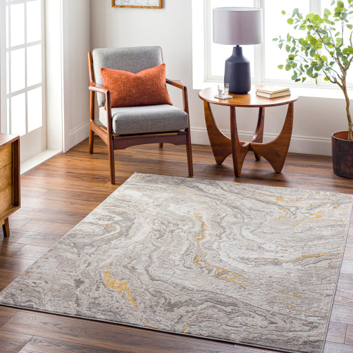 Surya Roswell RSW-2306 Off-White Modern  Rug