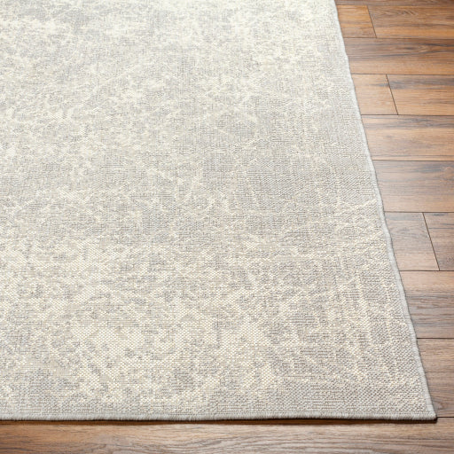 Surya Ravello RVL-2307 Light Gray Modern  Rug