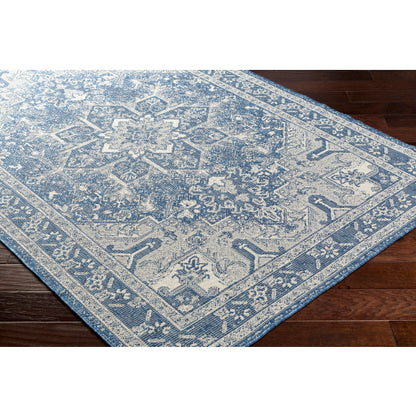Surya Ravello RVL-2309 Denim Traditional  Rug