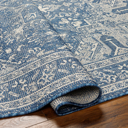 Surya Ravello RVL-2309 Denim Traditional  Rug