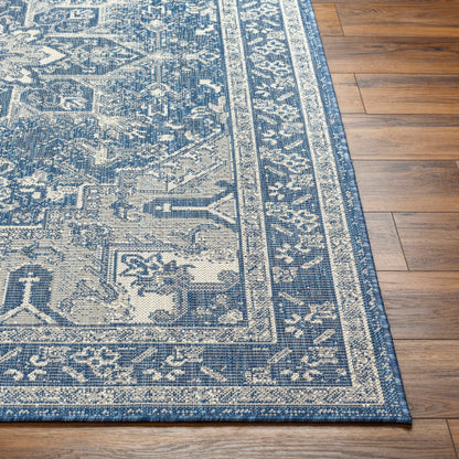 Surya Ravello RVL-2309 Denim Traditional  Rug