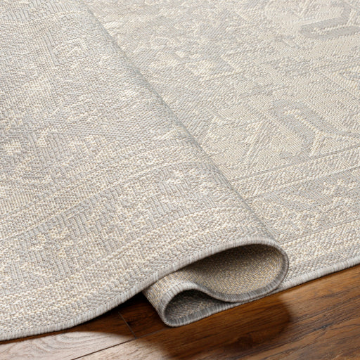 Surya Ravello RVL-2310 Light Gray Traditional  Rug