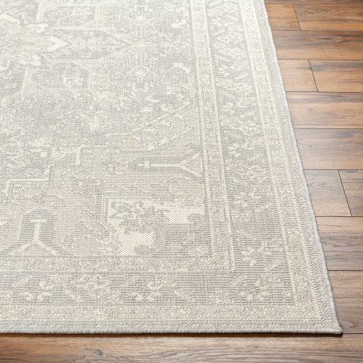 Surya Ravello RVL-2310 Light Gray Traditional  Rug