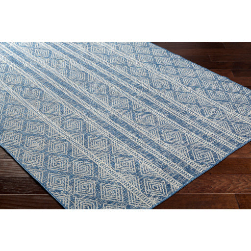 Surya Ravello RVL-2321 Denim Global  Rug