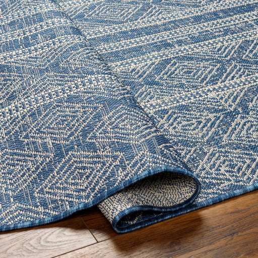 Surya Ravello RVL-2321 Denim Global  Rug