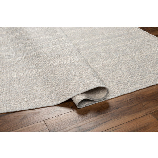 Surya Ravello RVL-2322 Light Gray Global  Rug