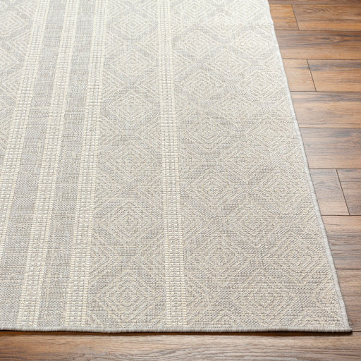 Surya Ravello RVL-2322 Light Gray Global  Rug