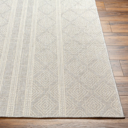 Surya Ravello RVL-2322 Light Gray Global  Rug