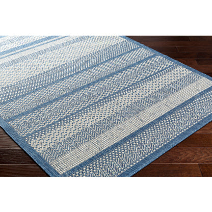 Surya Ravello RVL-2336 Denim Modern  Rug