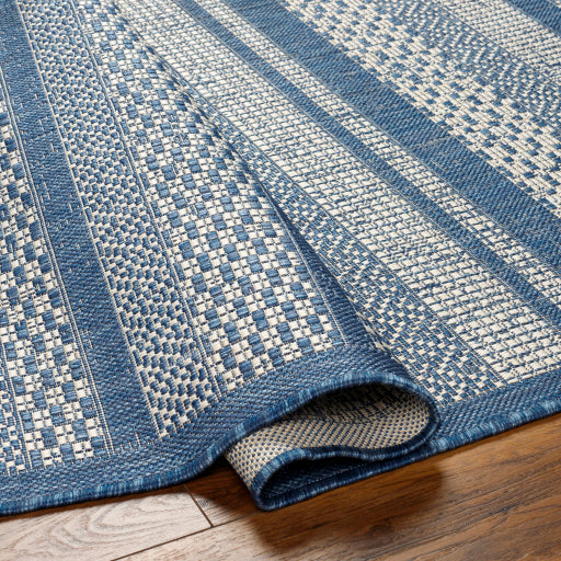 Surya Ravello RVL-2336 Denim Modern  Rug