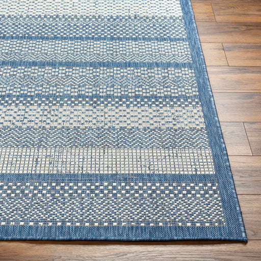 Surya Ravello RVL-2336 Denim Modern  Rug