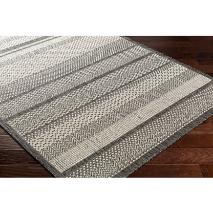 Surya Ravello RVL-2338 Light Gray Modern  Rug
