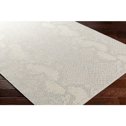 Surya Ravello RVL-2346 Light Gray Modern  Rug