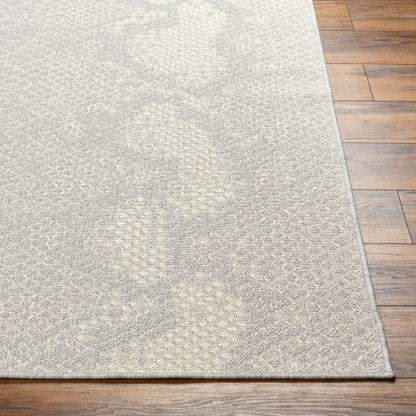 Surya Ravello RVL-2346 Light Gray Modern  Rug