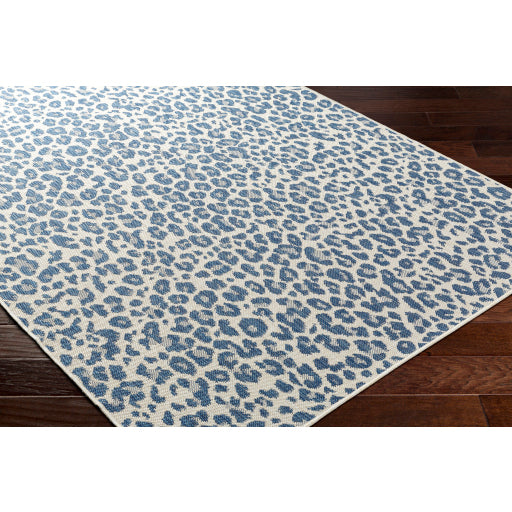 Surya Ravello RVL-2348 Denim Modern  Rug