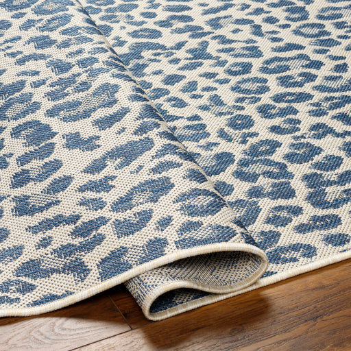 Surya Ravello RVL-2348 Denim Modern  Rug