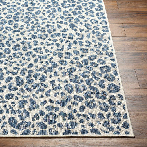 Surya Ravello RVL-2348 Denim Modern  Rug