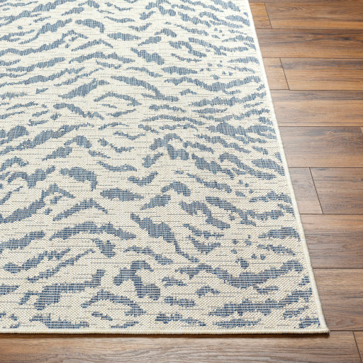 Surya Ravello RVL-2351 Ivory Modern  Rug