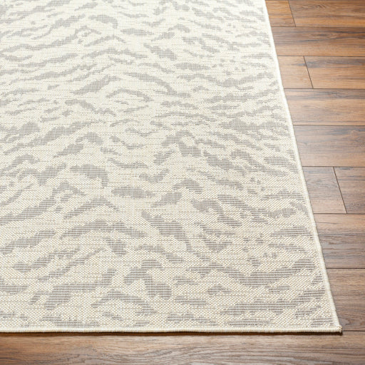 Surya Ravello RVL-2352 Ivory Modern  Rug