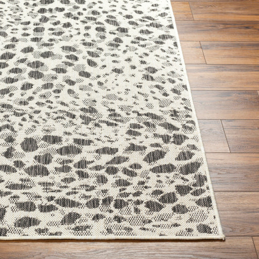 Surya Ravello RVL-2356 Ivory Modern  Rug