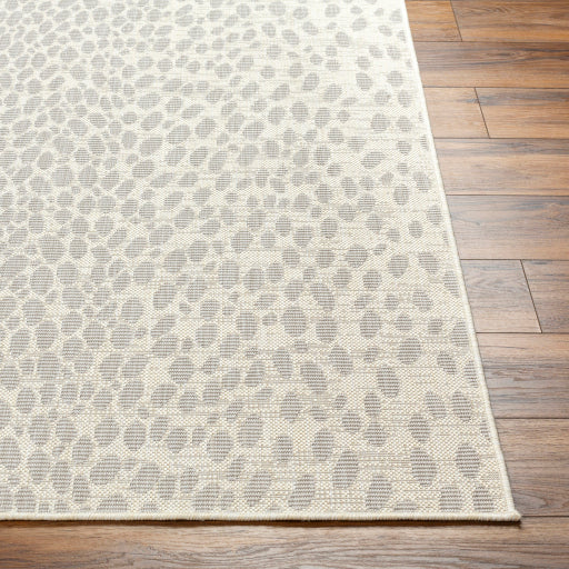 Surya Ravello RVL-2357 Ivory Modern  Rug