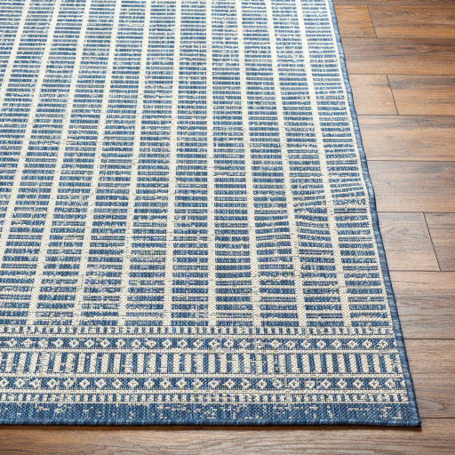 Surya Ravello RVL-2360 Denim Cottage  Rug