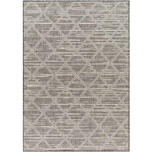 Surya Ravello RVL-2365 Light Gray Modern  Rug