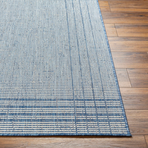 Surya Ravello RVL-2375 Denim Modern  Rug