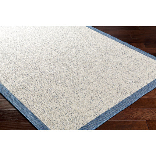 Surya Ravello RVL-2379 Denim Modern  Rug