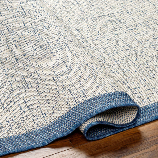 Surya Ravello RVL-2379 Denim Modern  Rug