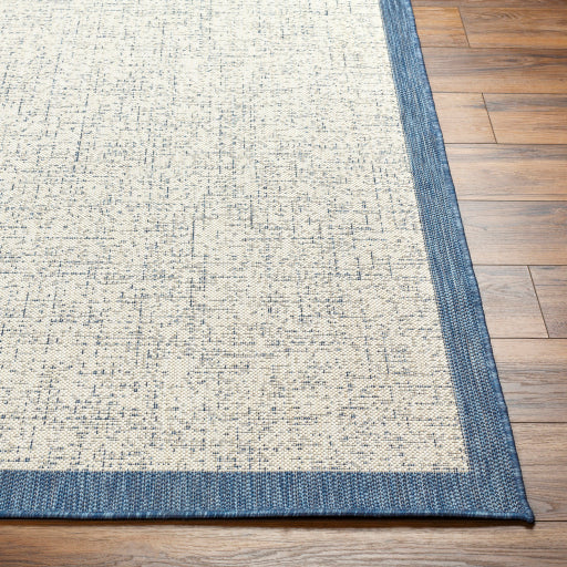 Surya Ravello RVL-2379 Denim Modern  Rug