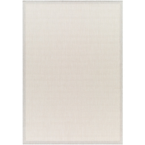 Surya Ravello RVL-2383 Light Gray Modern  Rug
