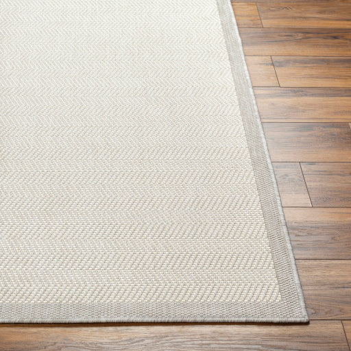 Surya Ravello RVL-2383 Light Gray Modern  Rug