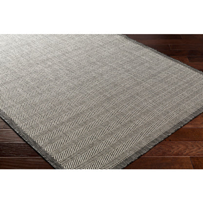 Surya Ravello RVL-2384 Light Gray Modern  Rug