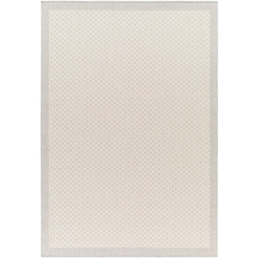 Surya Ravello RVL-2388 Light Gray Modern  Rug