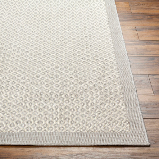 Surya Ravello RVL-2388 Light Gray Modern  Rug