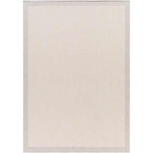 Surya Ravello RVL-2390 Light Gray Modern  Rug