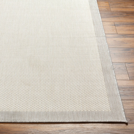 Surya Ravello RVL-2390 Light Gray Modern  Rug