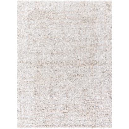Surya Sacramento Shag SCS-2300 White Modern  Rug