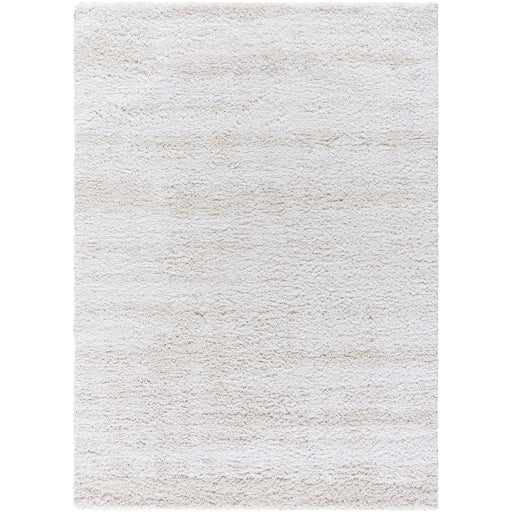 Surya Sacramento Shag SCS-2301 White Modern  Rug