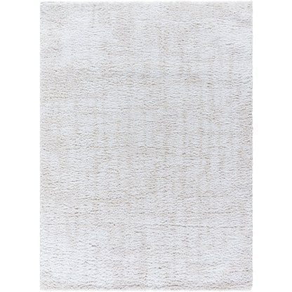 Surya Sacramento Shag SCS-2302 White Modern  Rug