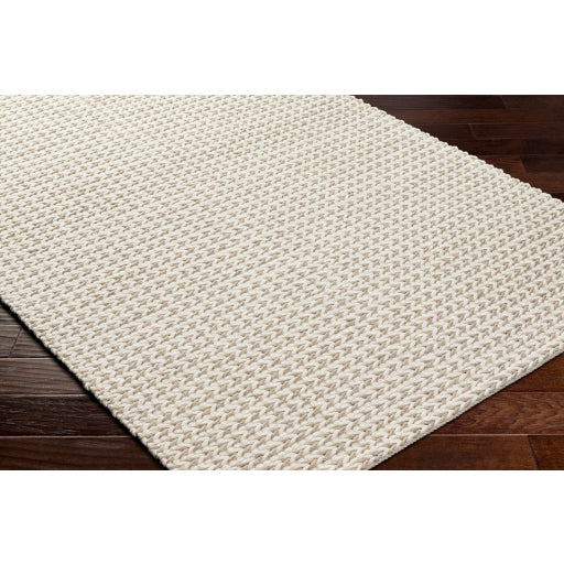 Surya Sundance SDC-2300 Ivory Modern  Rug