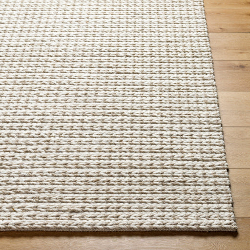 Surya Sundance SDC-2300 Ivory Modern  Rug