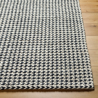 Surya Sundance SDC-2301 Ivory Modern  Rug