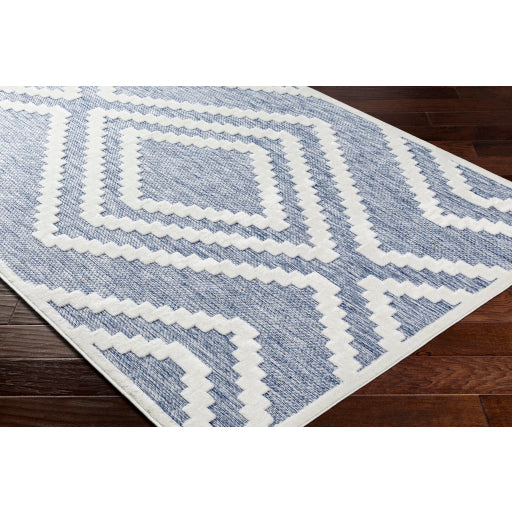 Surya San Diego SFG-2300 Dark Blue Modern  Rug