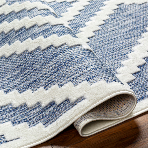 Surya San Diego SFG-2300 Dark Blue Modern  Rug