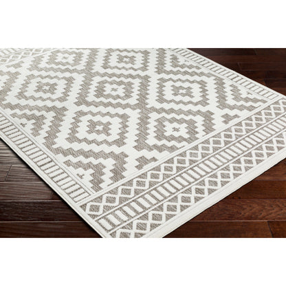 Surya San Diego SFG-2306 Gray Modern  Rug